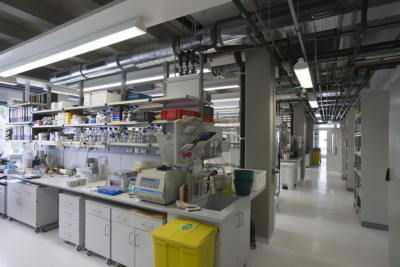 Conversion and refurbishment of Tower 5 at the Max Planck Institute for Biophysical Chemistry in Göttingen by Schwieger Architects.